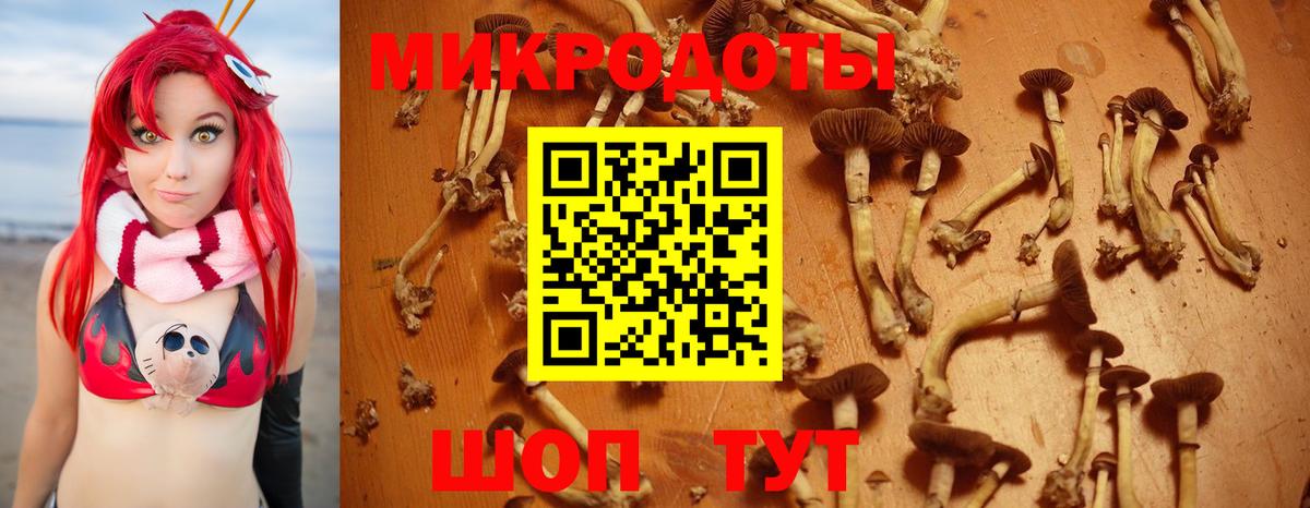 Галлюциногенные грибы мицелий  Вход с VPN  Ейск 